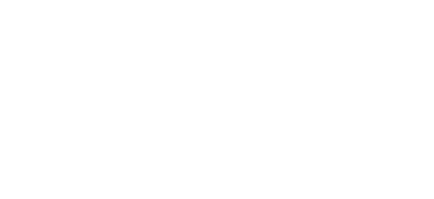 CHI-ERP